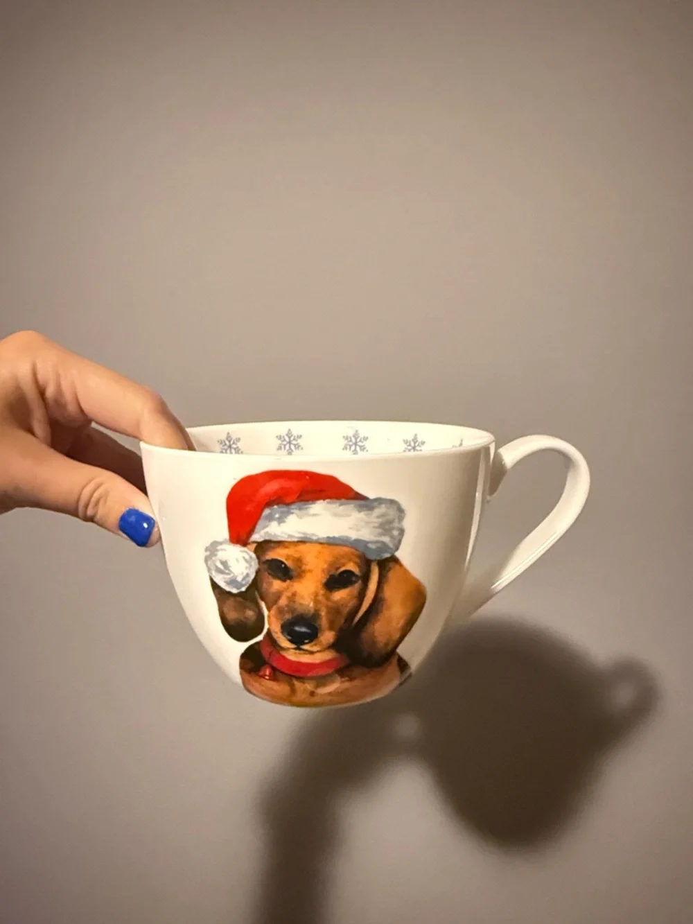 Dachshund Mugs